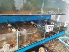 水产区-云南巷海鲜大咖·可加工海鲜