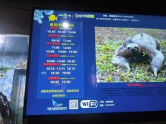 -合肥海洋世界