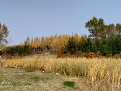 -长春世界雕塑园冰雪艺术天地