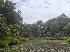 -中国科学院西双版纳热带植物园