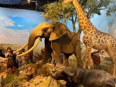 -陕西自然博物馆