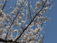 -龙美术馆(西岸馆)