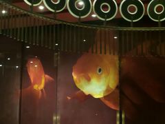 android_upload_pic-8餐厅(新葡京酒店)