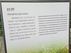 -金沙遗址博物馆