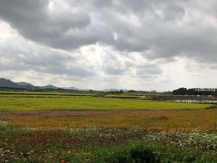 -光明小镇欢乐田园