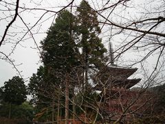 -醍醐寺
