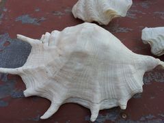 -老味道民宿(栈桥店)