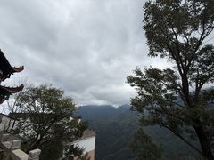-曾福兴