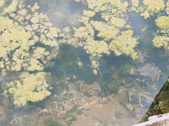 -那香海钻石沙滩浴场