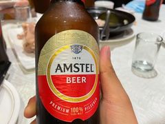 -丁老爷子苏香圆