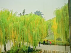 -鹊华居·地道鲁菜·海鲜·融合味(大明湖店)