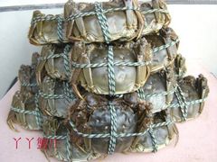 蟹堆-丫丫蟹庄·苏式园林农家乐·阳澄湖大闸蟹(阳澄湖莲花岛店)