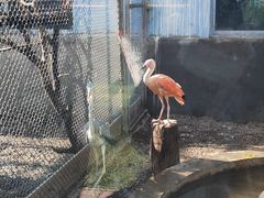 -青藏高原野生动物园