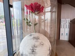 -爱情邮局