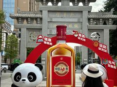 -铁像寺水街