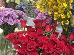 -淘花源花艺鲜花店 开业花篮 绿植(南部商务区店)