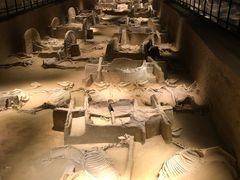 -洛阳周王城天子驾六博物馆