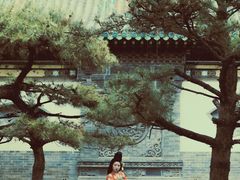 -迎泽公园