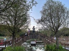 -五缘湾湿地公园