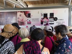 -亚龙湾国际玫瑰谷
