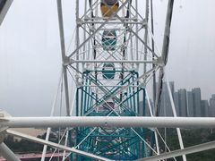 -巨鹏飞梦幻海岸