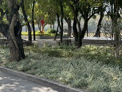 -公园茶楼粤式点心