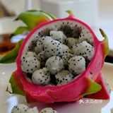 打卡南京精品淮扬菜馆——三品堂精致淮扬菜