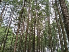 -驼梁风景区