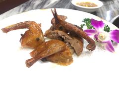 -鸽鸟轩(石岐店)