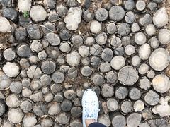 -鬼笑石后山停车场