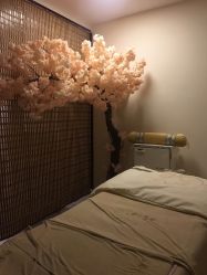 -至臻康妍健康管理中心