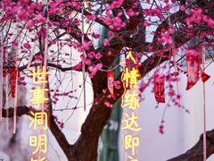 -江宁织造博物馆