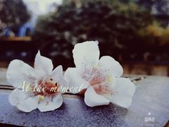 -红星桥(地铁站)