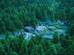 -玉苍山国家森林公园
