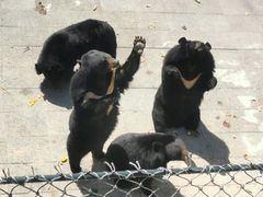 -大连森林动物园