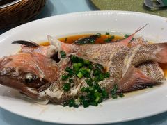-舌尖上·霞浦滩涂海鲜·新闽菜(总店)
