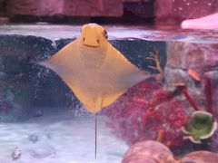 -沈阳海洋探索中心