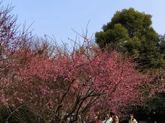 -成都市文化公园