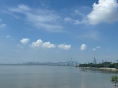 -深圳湾公园(南山区)