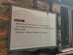 -横琴公社餐厅