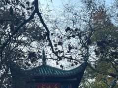 -岳麓山风景名胜区