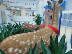 -润泽瑞尼丝医疗美容医院