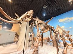 -国家自然博物馆