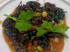 -寻味顺德·南记酒家·传统顺德菜·鱼生(广源路店)