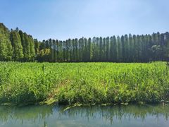 -捞渔河湿地公园