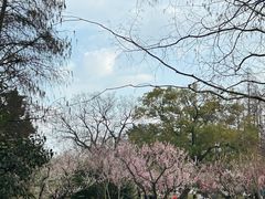 -东湖听涛景区