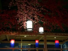 -御池园(顾村公园店)