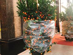 -华海酒店(茂名高铁站店)