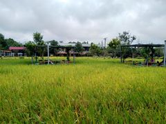 -洪湖家庭农场·团建·露营·会议