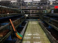 -新农都水产市场